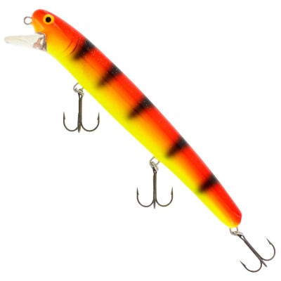 Alert Tiger