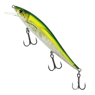 Olive Minnow