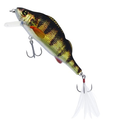 Real Perch