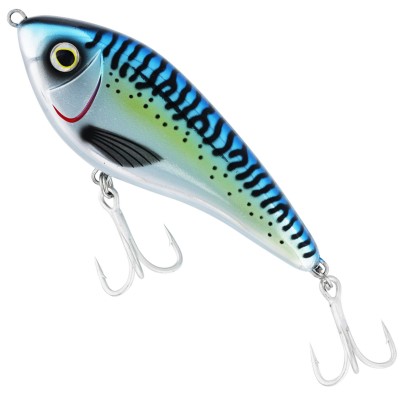Atlantic Mackerel