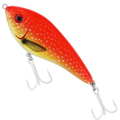Coral Trout