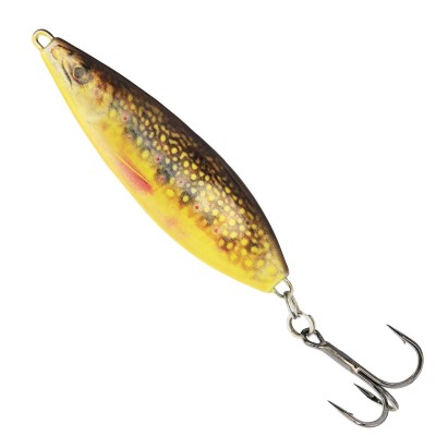 Brook Trout Fry