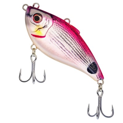 Westin Buzzvibe - Rattlebait Pink Saddled Bream - 10cm - 57g - 1 Stück