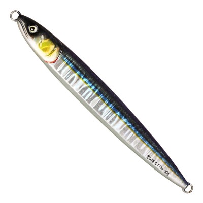 Coastal Baitfish