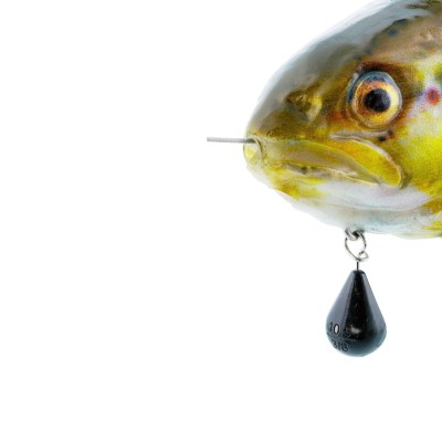 Westin Tommy The Trout Inline - Swimbait Real Rainbow Trout - 25cm - 195g - Slow Sinking - 1 Stück