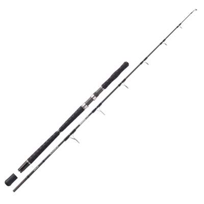 Balzer Adrenalin Arctic Jigger 9-Spin, 1,97m, 4-9lb/200g