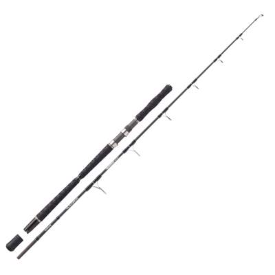 Balzer Adrenalin Arctic Jigger 20-Spin 1,97m, 10-20lb/600g