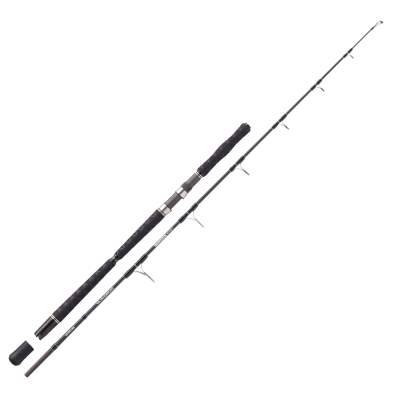 Balzer Adrenalin Arctic Jigger 20-Spin, 1,97m, 10-20lb/600g