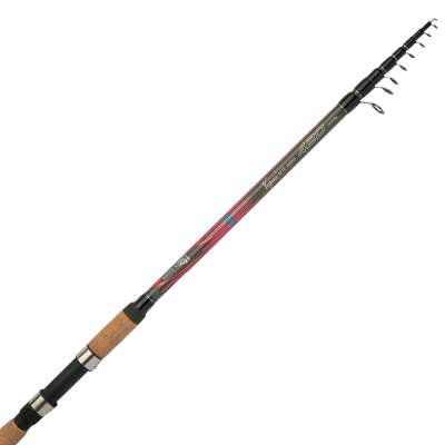 Shimano Vengeance Slim TE GT 420 XH, 4,20m, 40-100g, 372cm