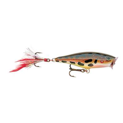 Rapala Skitter Pop 9,0cm Frog (F) Popper 14g, Top Water, 1 Stück