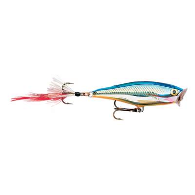 Rapala Skitter Pop 7,0cm Silver Blue (SB) Popper 7g, Top Water, 1 Stück