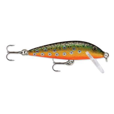 Rapala Countdown Wobbler 7,0cm Brook Trout (BTR) 8g, sinking, 1 Stück