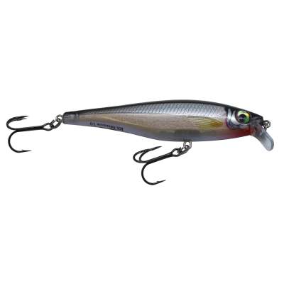 Rapala BX Minnow 10cm - 12g - Silver (S) floating