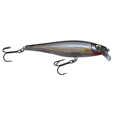 Rapala BX Minnow, 10cm - 12g - Silver (S) floating