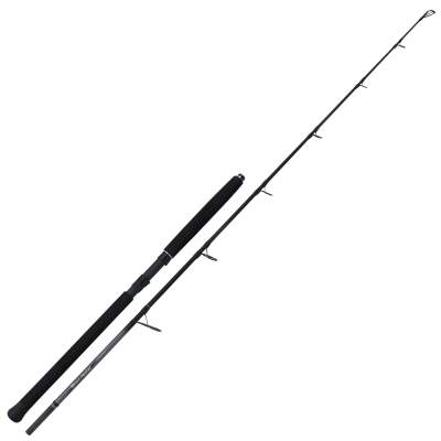 Shimano Beastmaster Catfish Fireball Extreme 210 2,10m Wallerrute