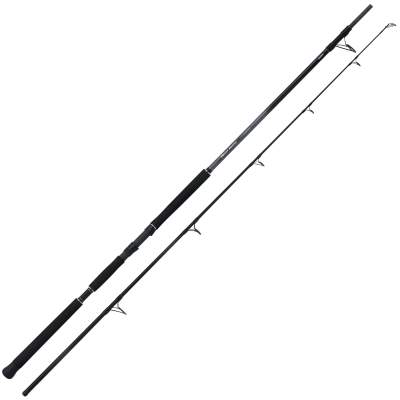 Shimano Beastmaster Catfish Static 320 500g 3,20m, 0-450g, Wallerrute