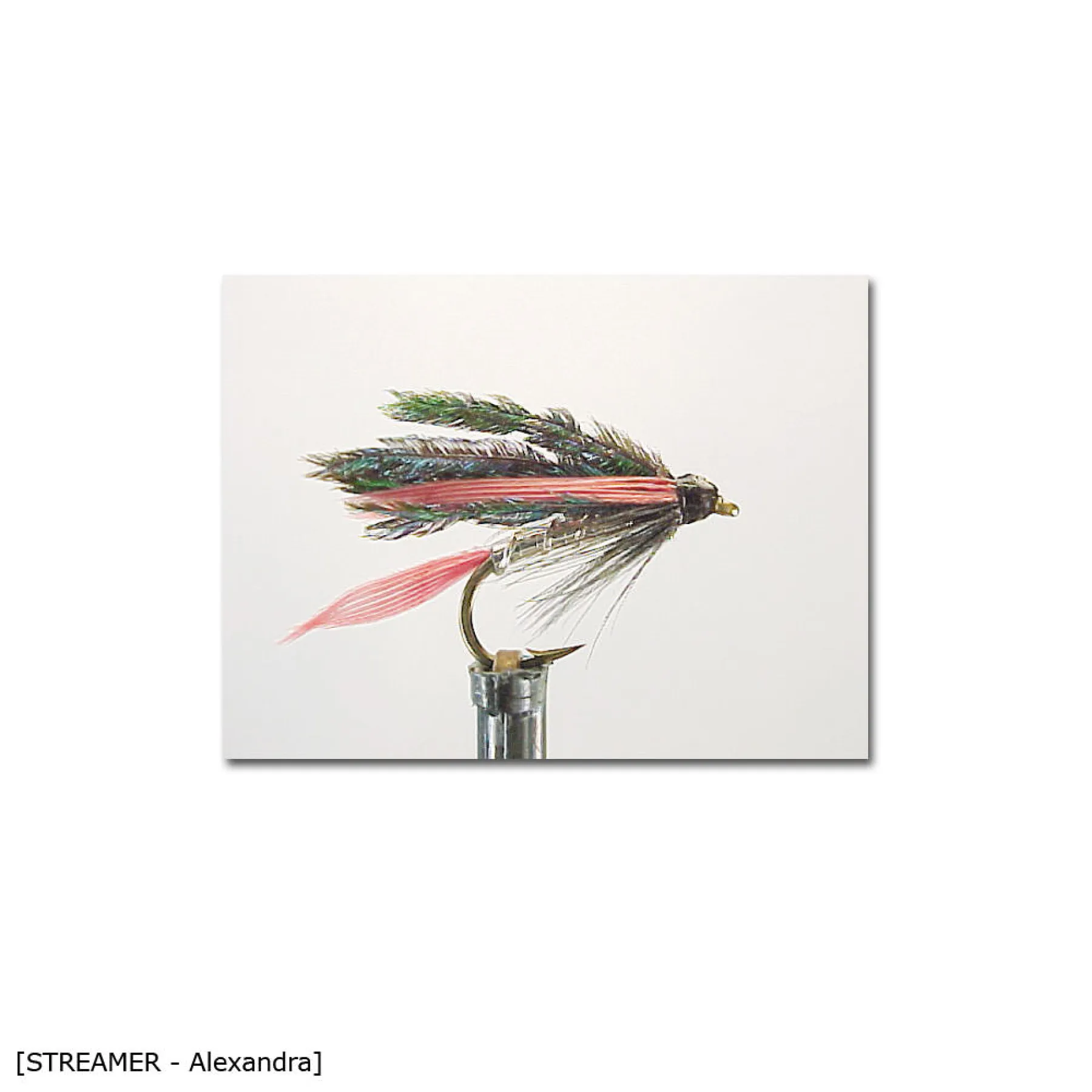 X-Version Fly Streamer ALEXANDRA 12 Gr.12 - 1Stück - 1