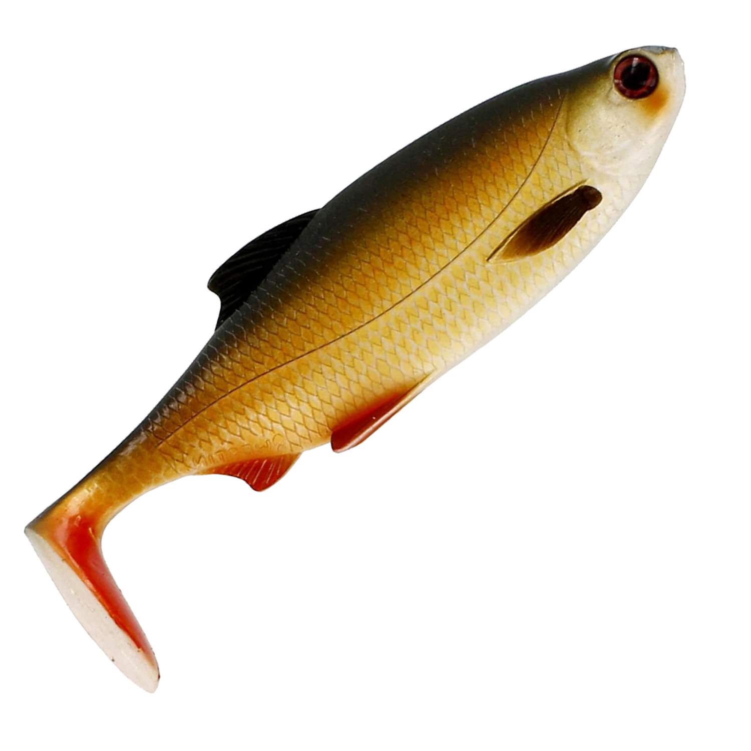 Westin Ricky The Roach Shadtail 10cm 14g – Esse In Gomma Per Luccio E Pesce Persico (2 Pezzi)