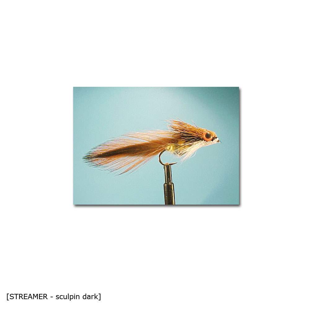 XVersion Fly Streamer SCULPIN DARK 8, Gr.8 1Stück 14