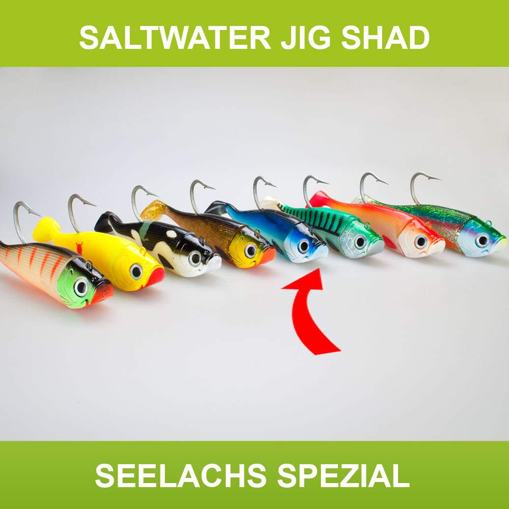 Jig Shad Gummifisch Pilker + 2 Shads Dorsch Heilbutt Köder Norwegen Meeresangeln - Bild 20 von 20