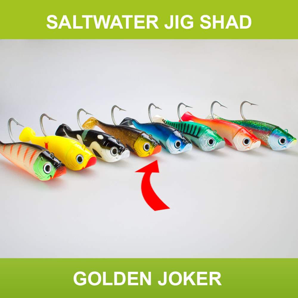 Jig Shad Gummifisch Pilker + 2 Shads Dorsch Heilbutt Köder Norwegen Meeresangeln - Bild 11 von 20