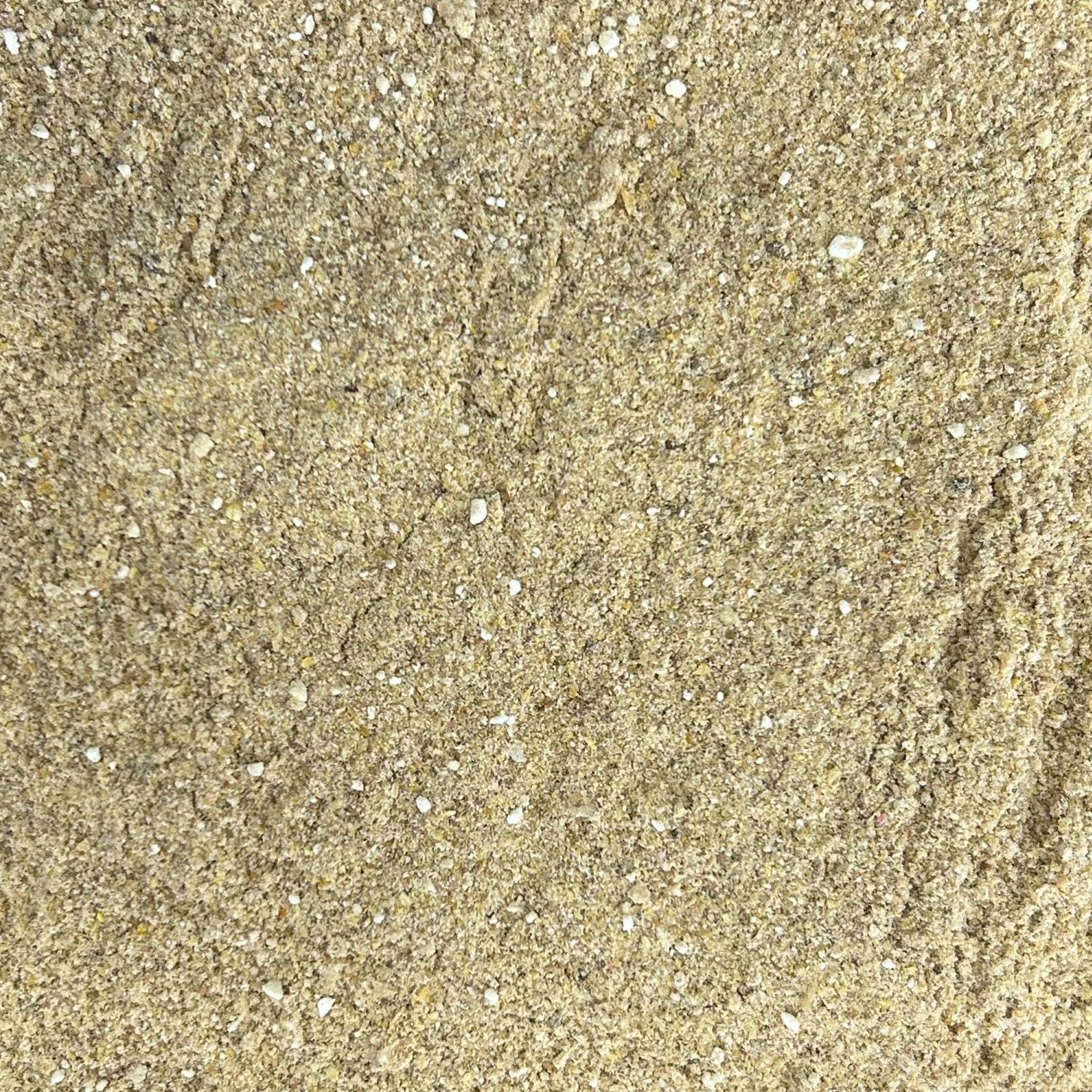 Bild 3 von 11