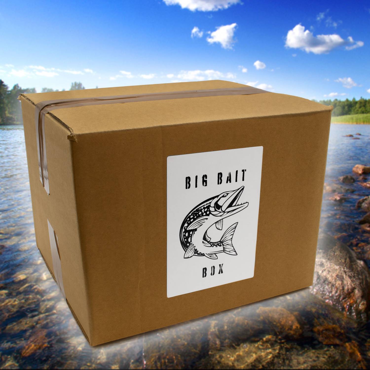 BigBait Box *Sonderedition* Kunstköderbox