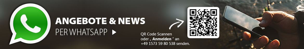 WhatsApp Newsletter