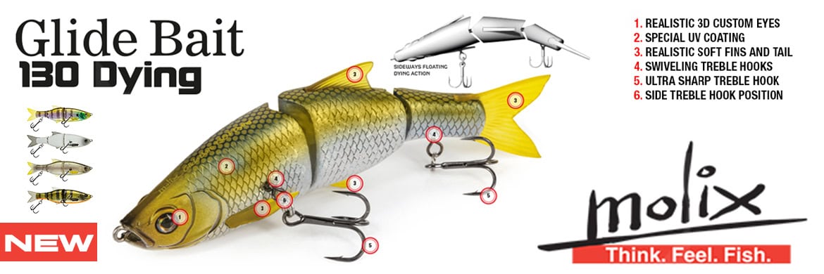 Molix Glidebait