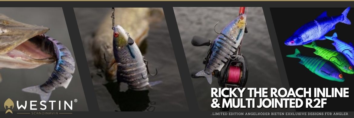 Westin Ricky the Roach Limited