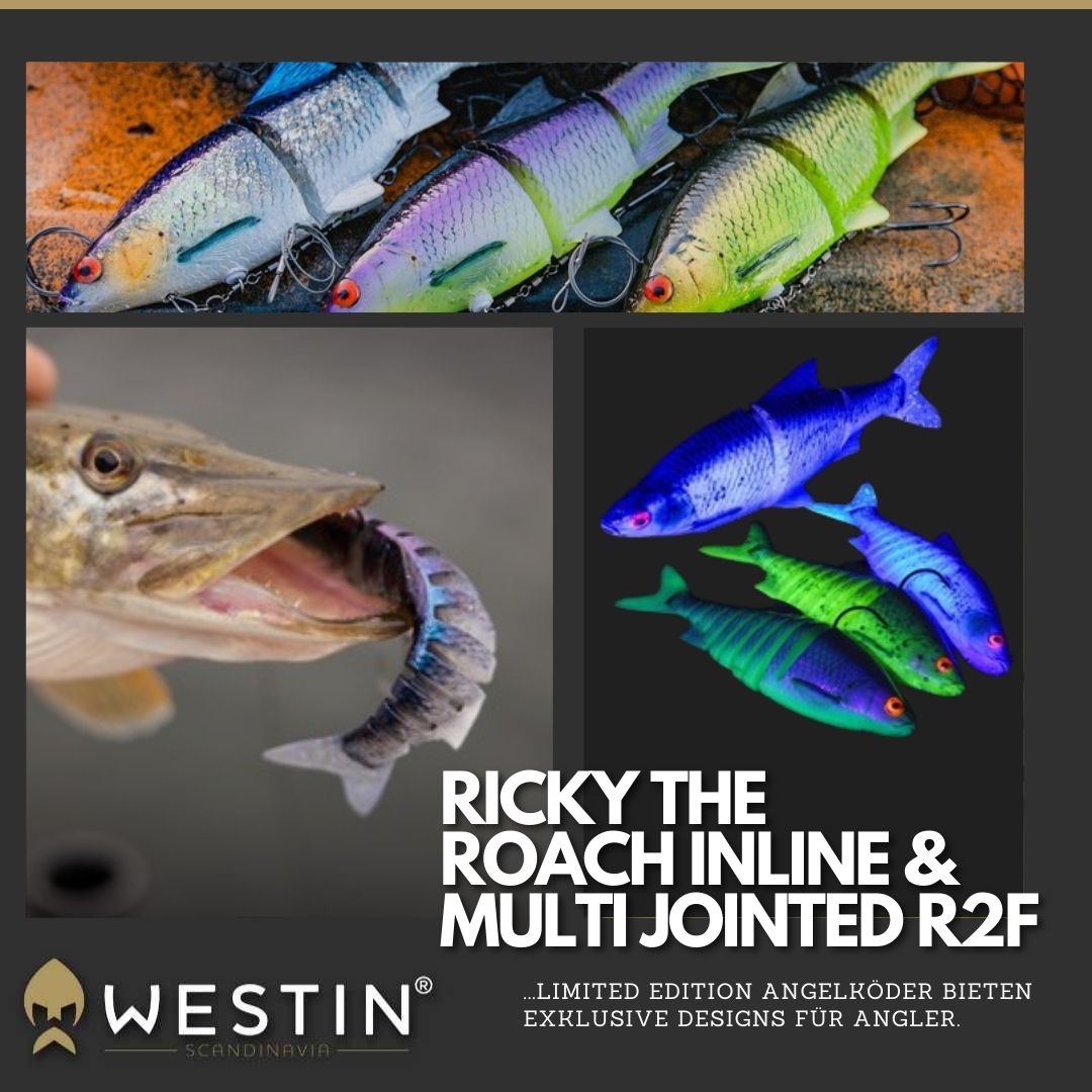 Westin Ricky the Roach Limited