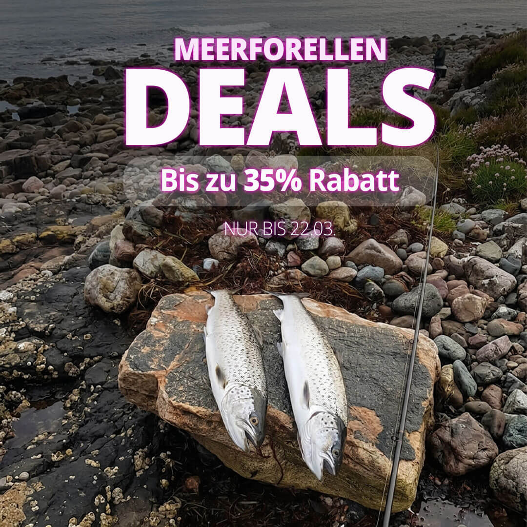 Meerforellen Deals