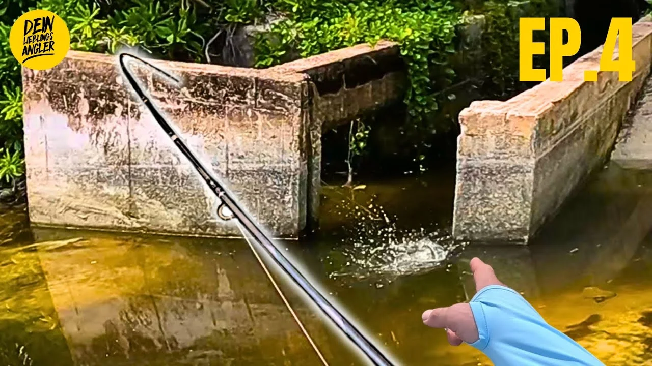 Folge 4: Krasser Einschlag am Bacheinlauf