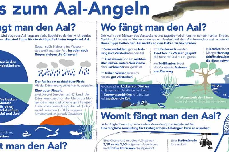 Tipps zum Aalangeln