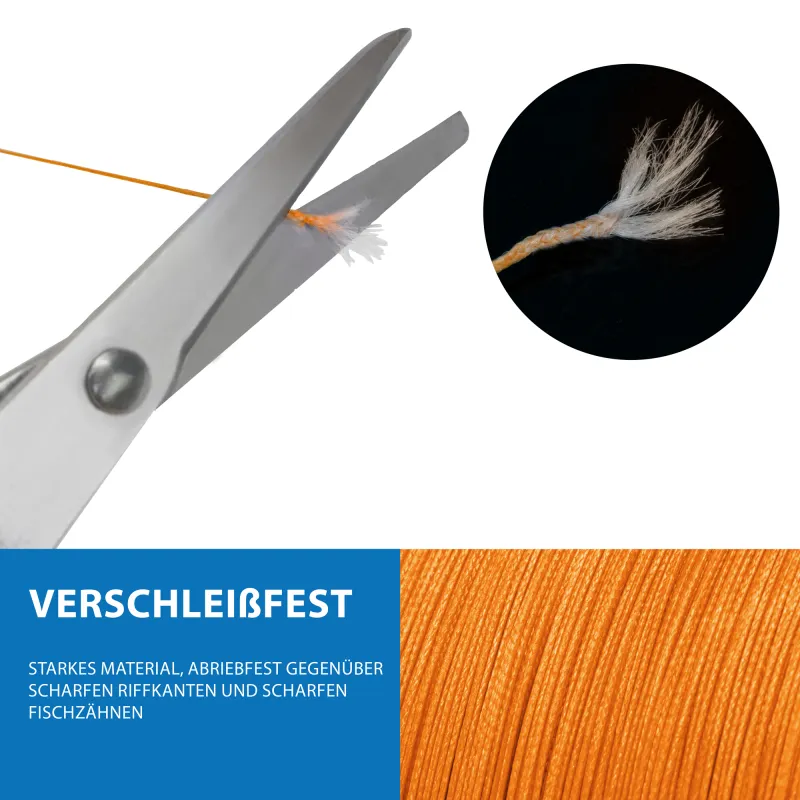 Barsch und Zander SET