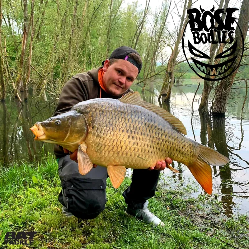 BAT-Tackle Böse Boilies 500g - 18mm - Squid - black