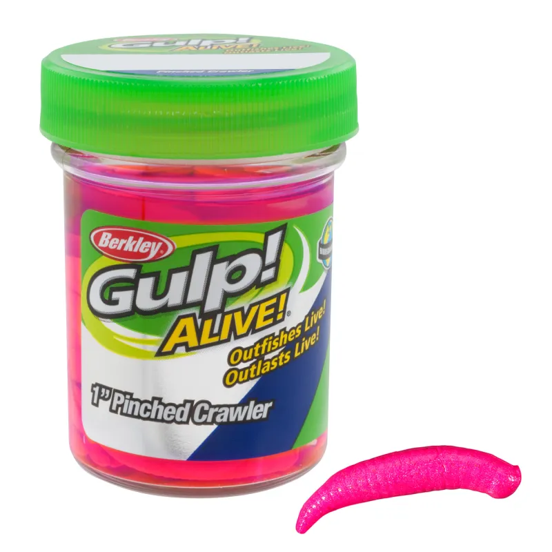Berkley Gulp! Floating Pinched Crawler 1" Bubblegum Bubblegum - 14Stück
