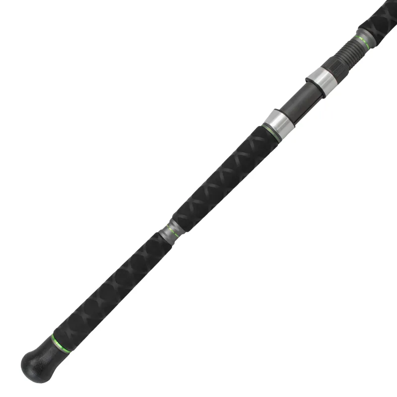 Catix Spin Cat + Penn Spinfisher VI 5500 2,40m - 50-180g - 310g - 5500