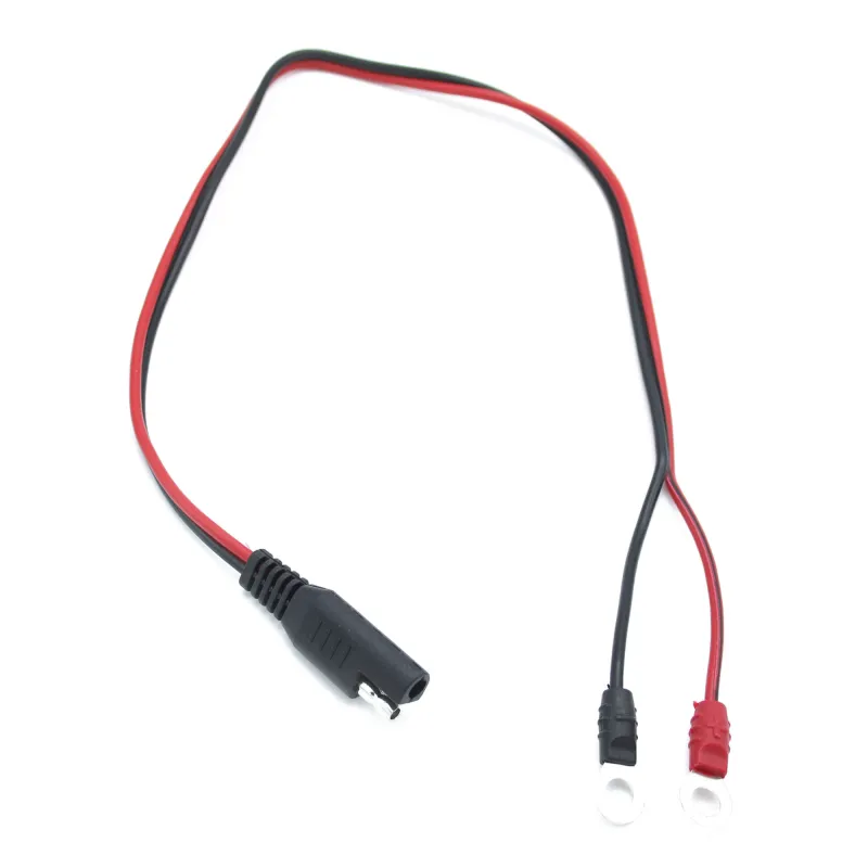 DLT CT-7000 12V/ 24V Vollautomatisches Batterieladegerät