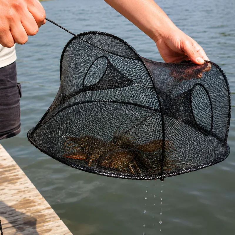 EuroCatch Reuse - Flusskrebse, Krabben und Fische 64x48x27cm