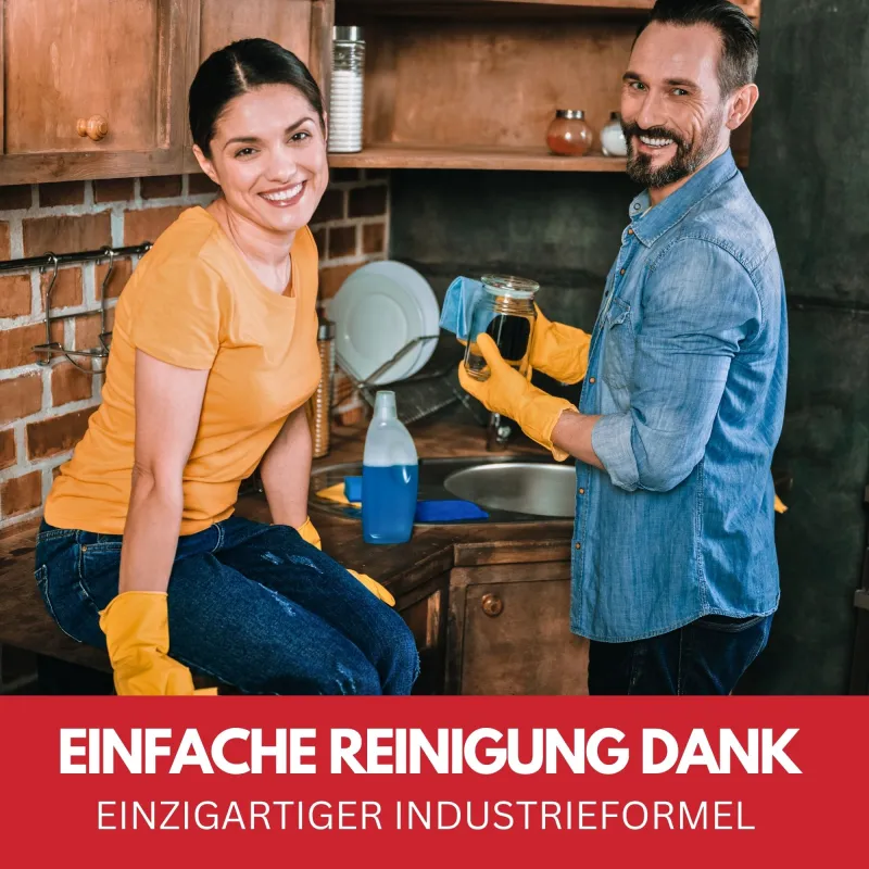 Eversmoke Cleaner (Grill-, Backofen- und Räucherofenreiniger) 500ml - 3 Stück
