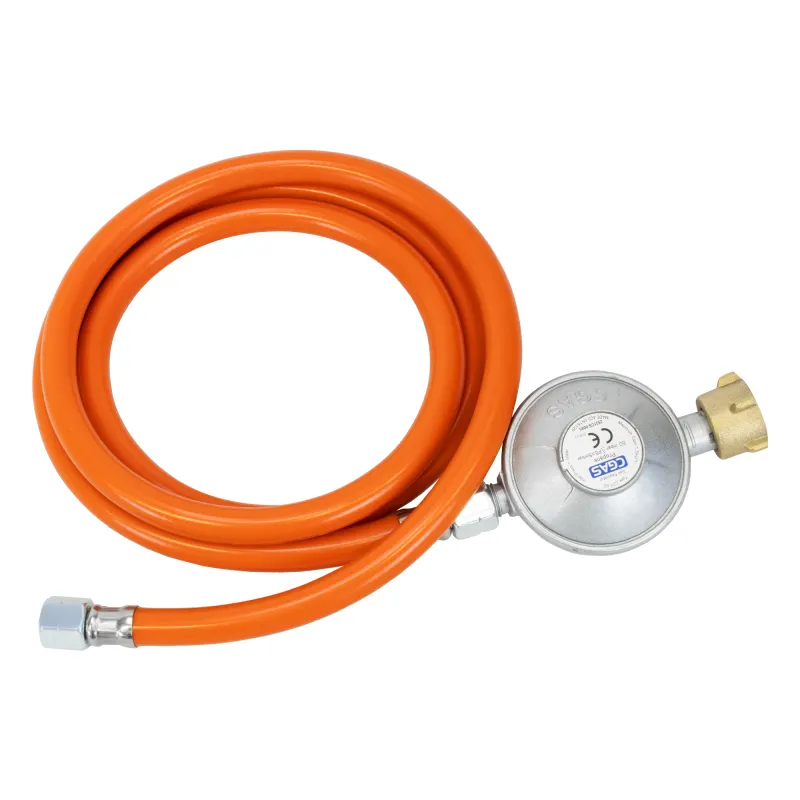 Eversmoke Gasbrenner Maxi 5000 Watt mit Druckminderer und Schlauch
