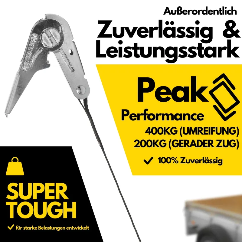 Fatbox Spanngurt mit Ratsche 25mm x 6m, Schwarz, Losende Länge: 5,5m, Festende Länge: 0,5m