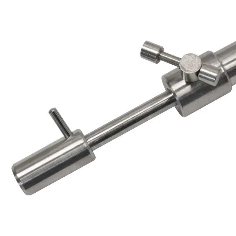 Fishdream Stainless Steel Edelstahl Bankstick 20-30cm - 2 Stück