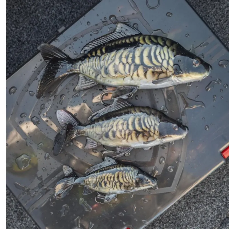Fox Rage Ultra-Realistic Carp Replicant 10cm - Common Carp -18g