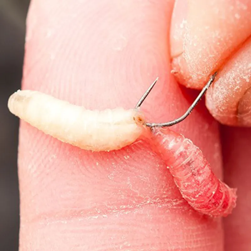 Guru F1 Maggot Hook Gr.20 - 10Stück