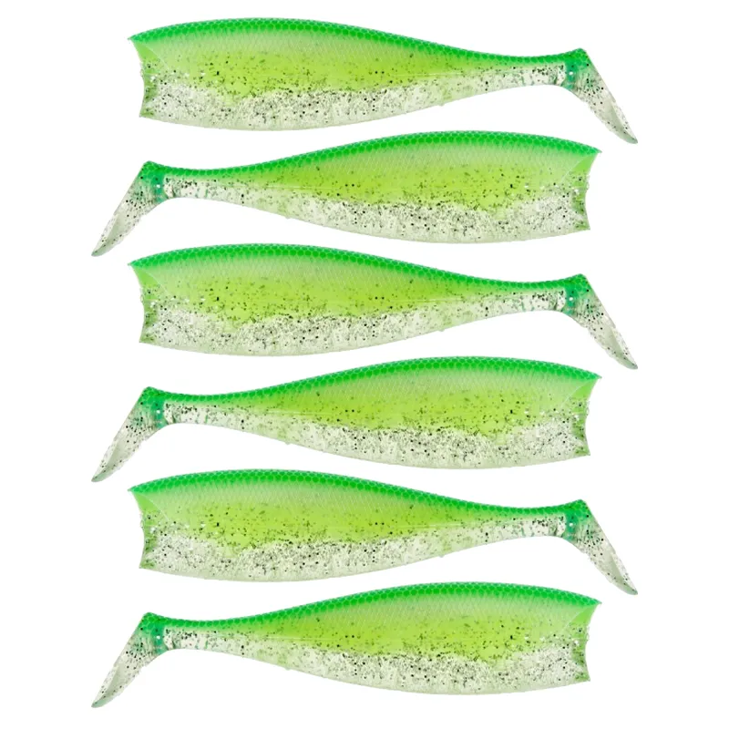 Carribean Shad