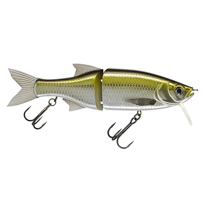 Silver Minnow