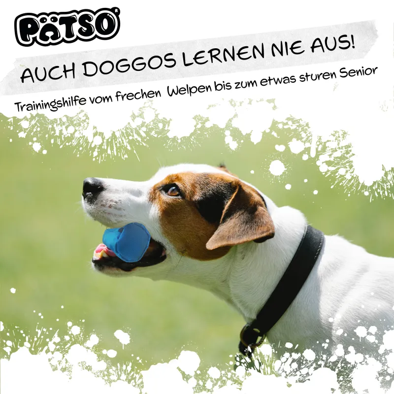 PÄTSO Futterbeutel Dummy Apportierspielzeug 18x7cm - Blau