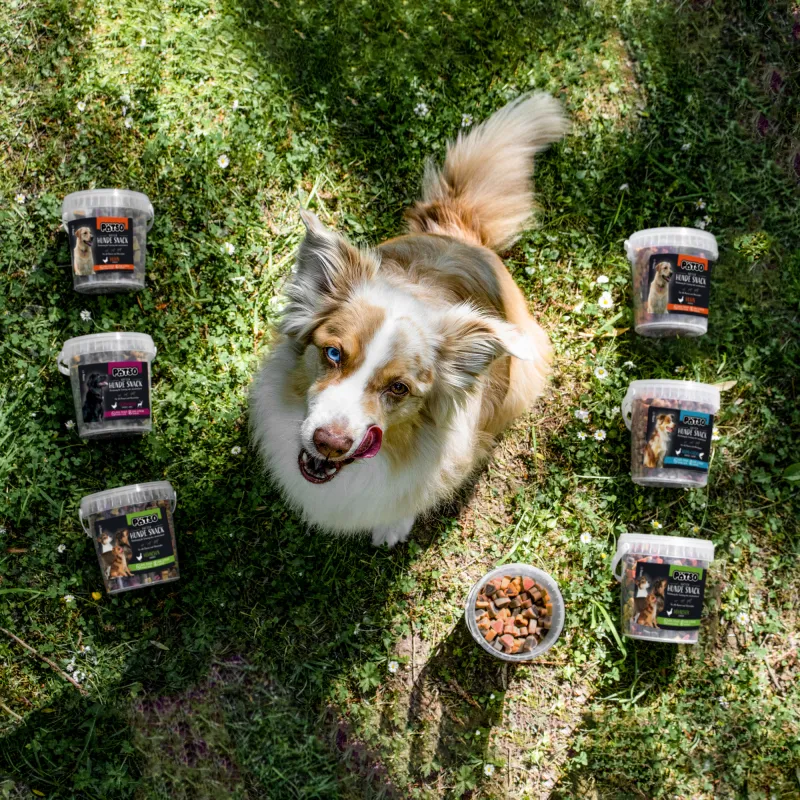 PÄTSO Hunde Snack 500g - Hühnchen - Mini Heart Mix